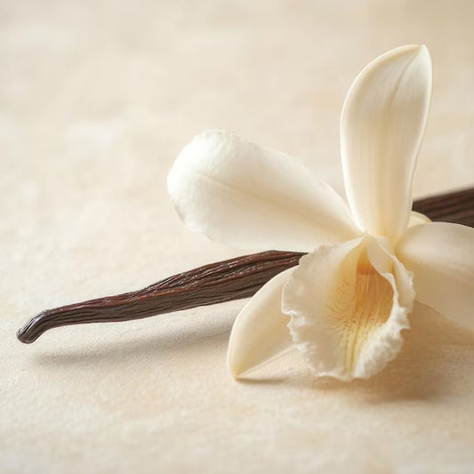 Ароматно масло от Ванилия (Vanilla Fragrance Oil) 10 мл.